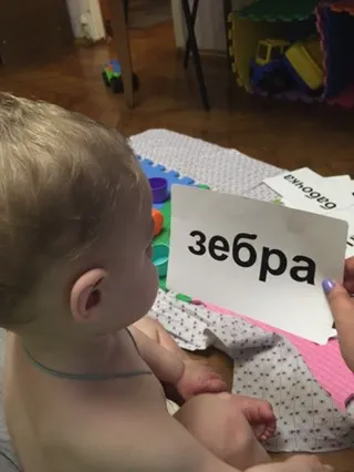 Животные в желе