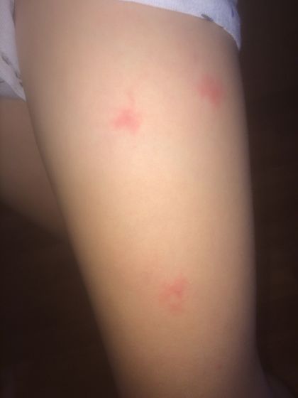 Девочки у сына после