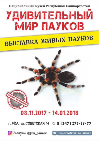 Выставки в г.Уфа