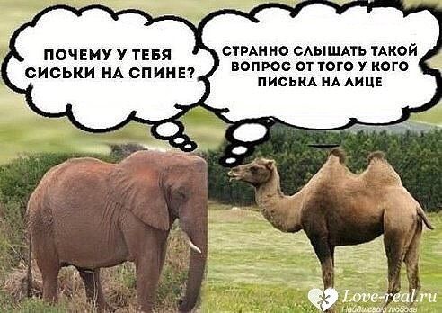 Пусть и не все такой юмор понимают?????улыбнитесь девушки☺️???