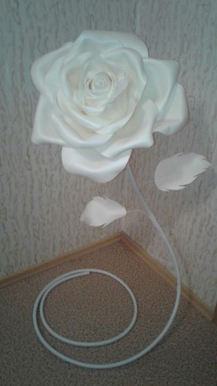Огромные розы - моя новая любовь