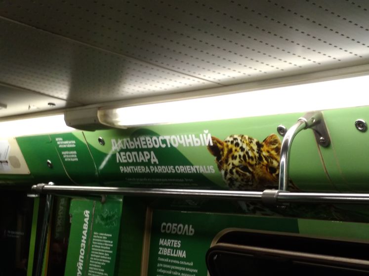 Масленица в центре. Часть 1. (17.02.18)