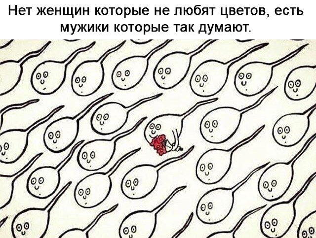 Правда жизни)
