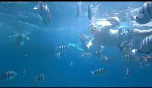 Наш отдых 🐠🌸