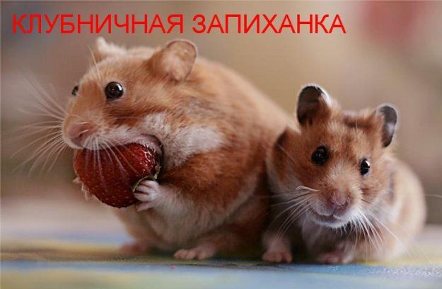 Позитива вам!