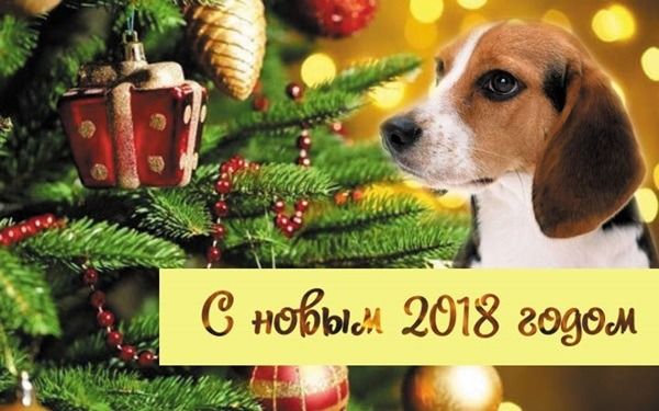 С наступающим девочки новым 2018 годом!