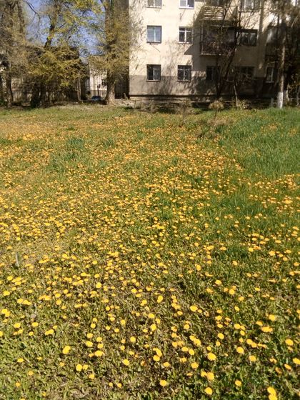 Нам 32недельки