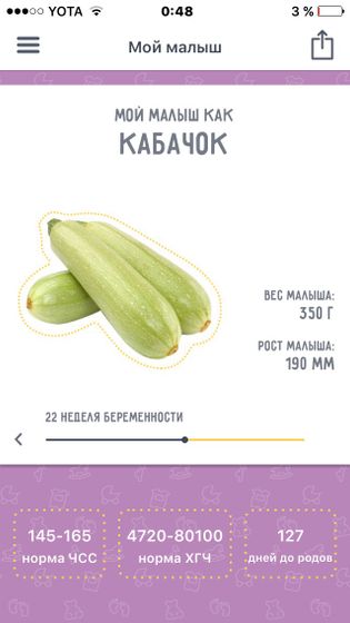 Время летит