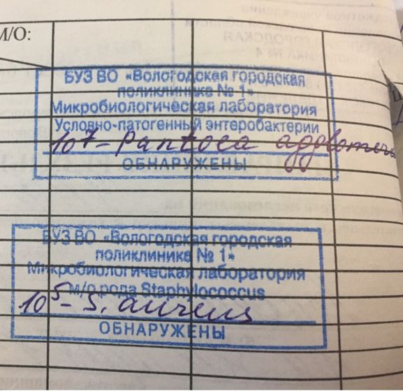 Бактерии обнаружены. Лечение не предложено.