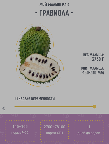 Сегодня день ПДР