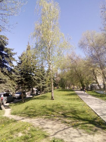 Нам 32недельки
