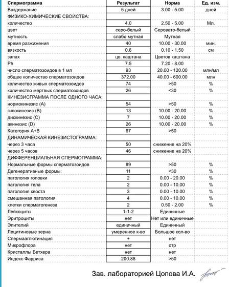 СГ !!!