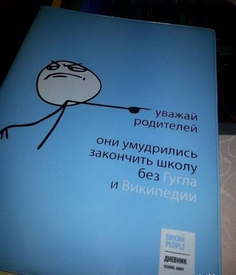 Еноты лезут в кормушку