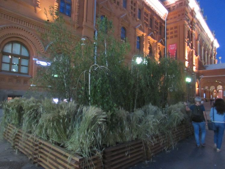 Фестиваль
