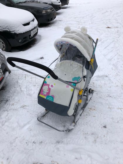 Санки)