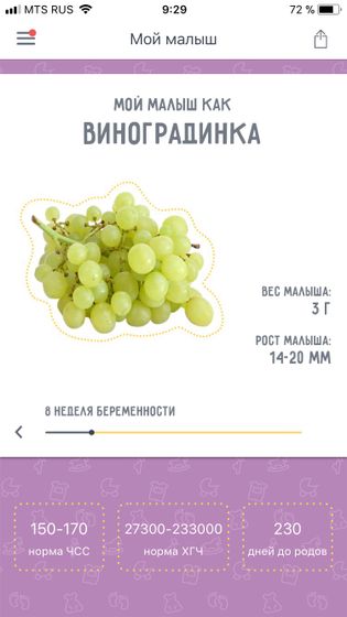 8 неделя ❤️