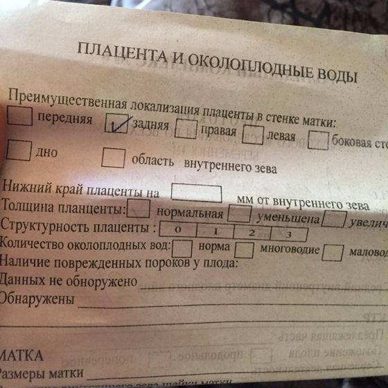 Кто разбирается в заключениях УЗИ?