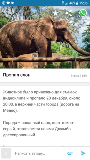 Пропал слон. Объявление в olx.kz 😂😂😂
