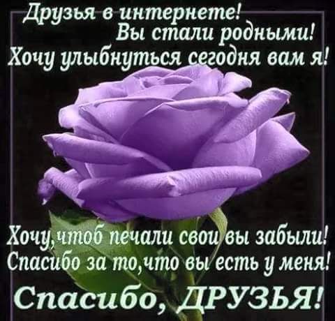 Нам 3 месяца!