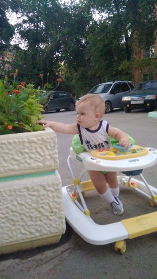 Выползла кобра на площадку
