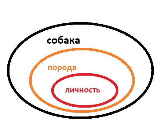 О породах. Собаки.