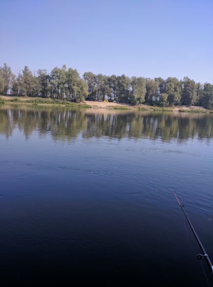Прошлое лето...
