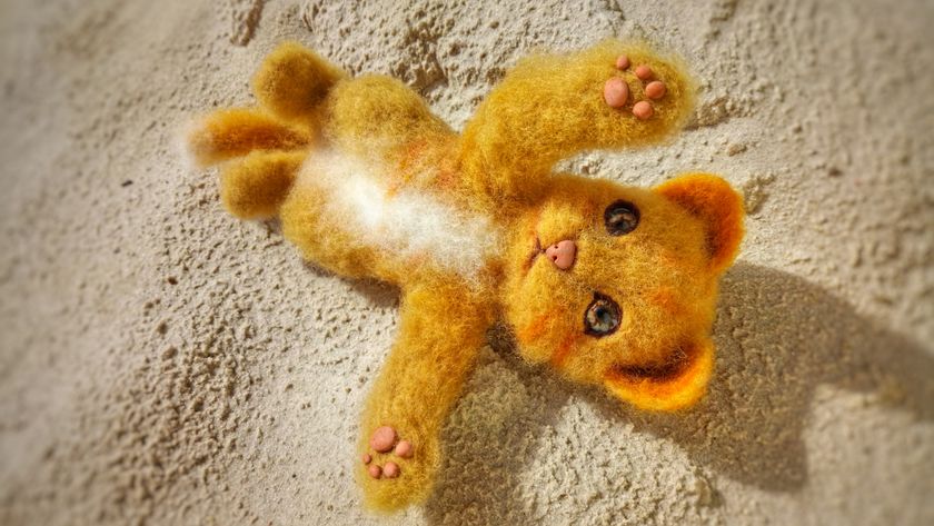 Интерьерные игрушки
