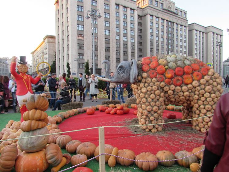 Фестиваль