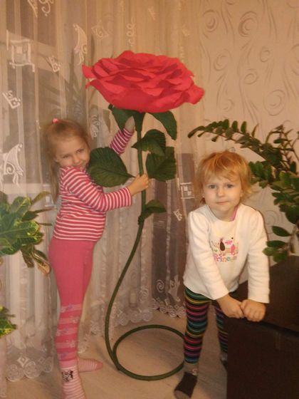 Новости о нас