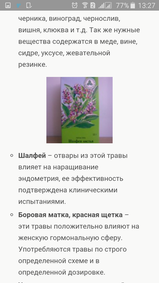 Эндометрий