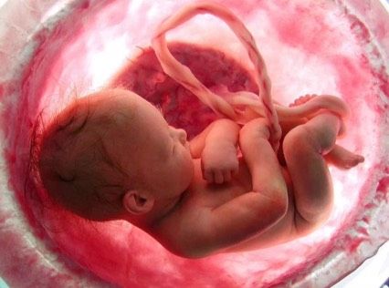 🤰🏼👼🏼❤️
