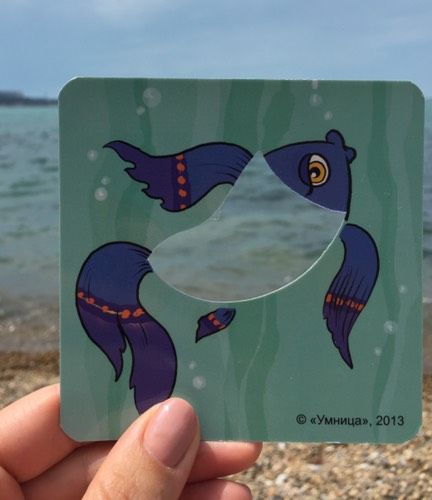 Как мы занимаемся на море