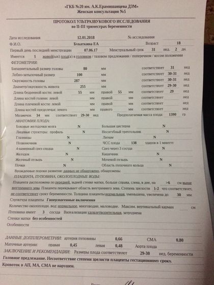 Плацента!