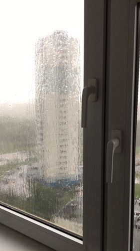 Лето прошло?