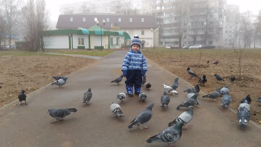 Мой хвостик. ??