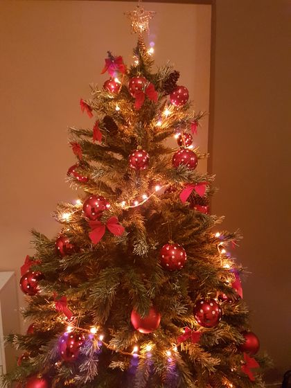 Елочки🌲🌲