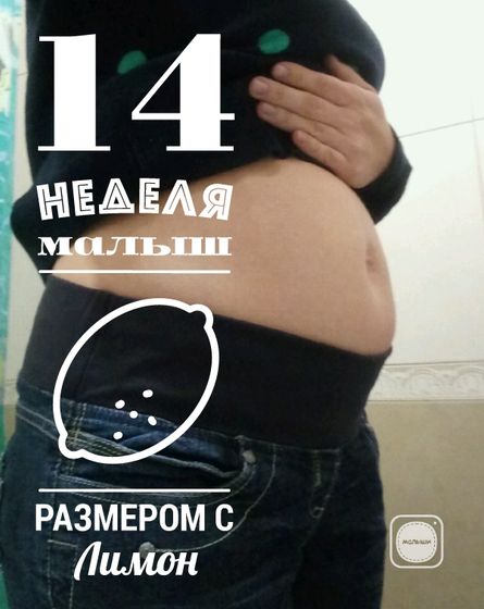 Ура! Второй триместр!