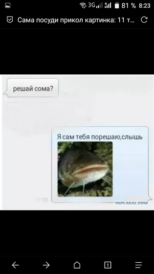 Не трогайте сома ??