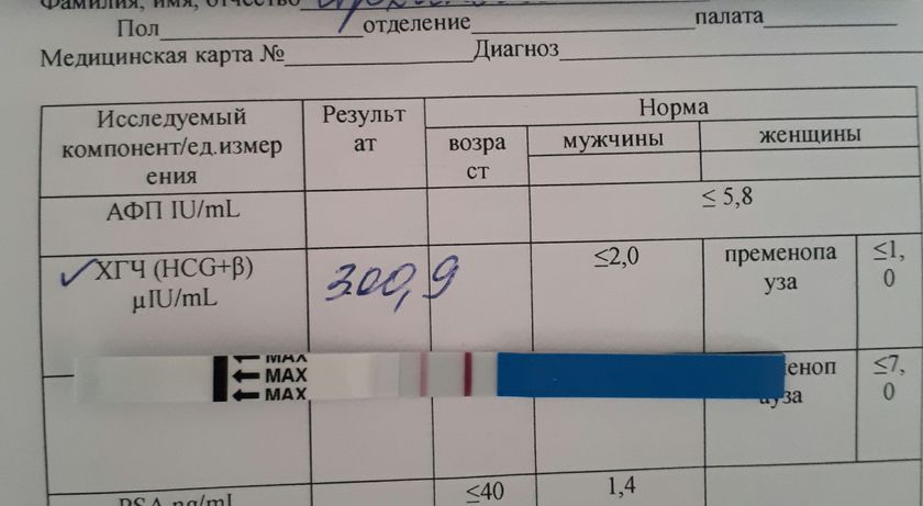 ХГЧ