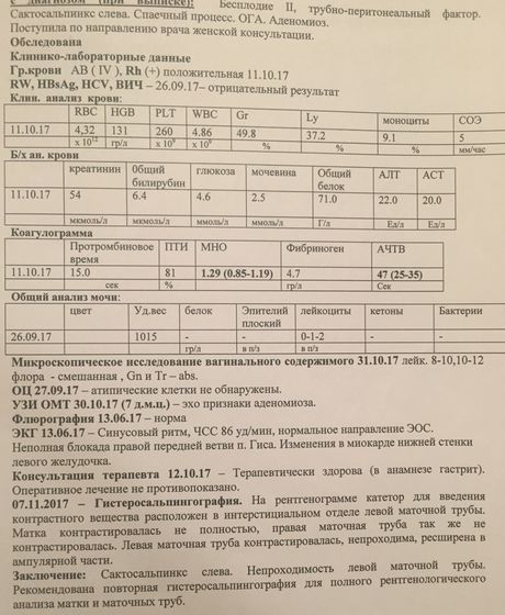 Выписка и описание гсг