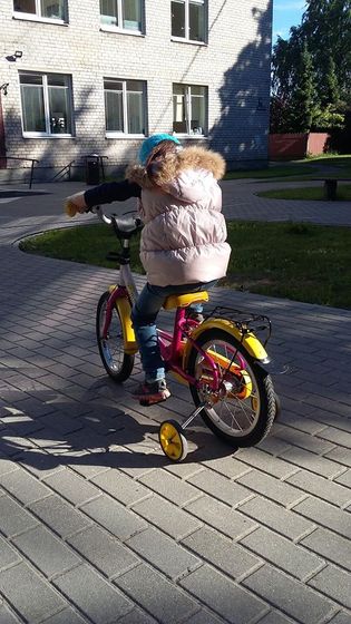 Наше лето или как мы прогуливаем сад