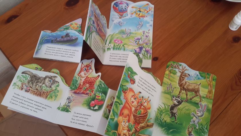 похвастушки книжки 😄