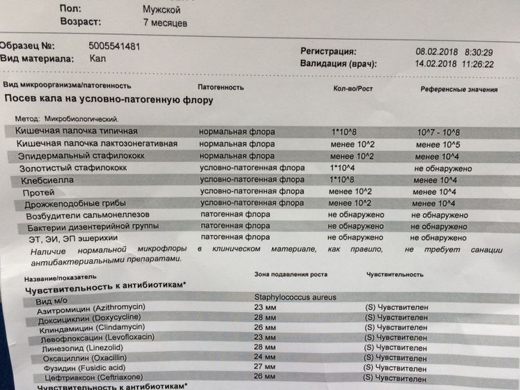 Правильно ли я пониманию