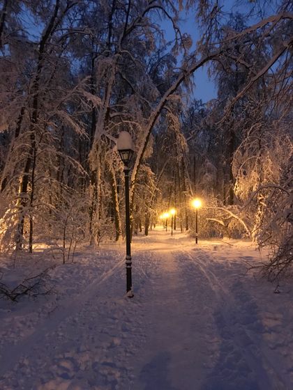 Филевский парк, зимняя сказка)