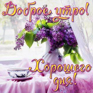 Доброе утро ?