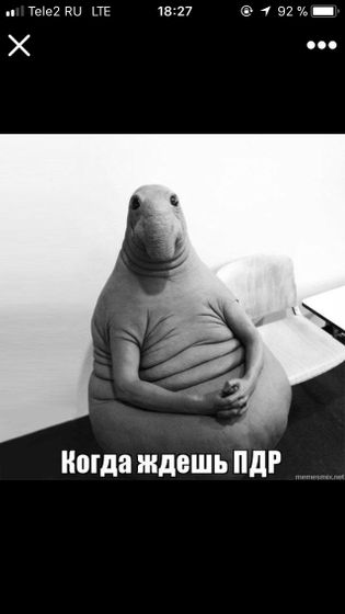 УЗИ допплер