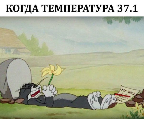 Никого вам не напоминает