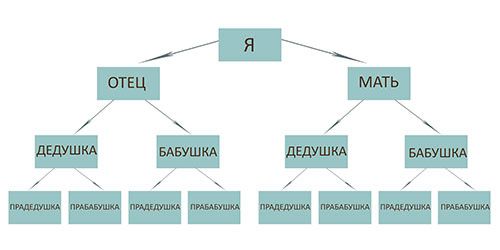 Домашнее задание в школе: Генеалогическое древо. ПОМОГИТЕ!!!