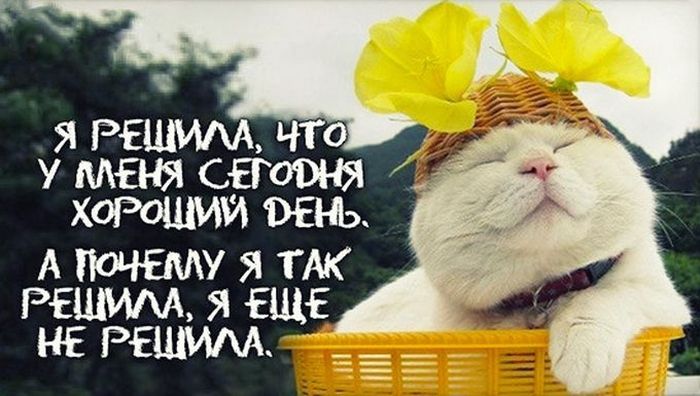 Позитива вам!