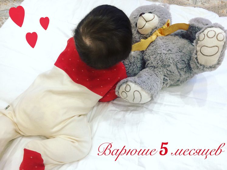 5 месяцев